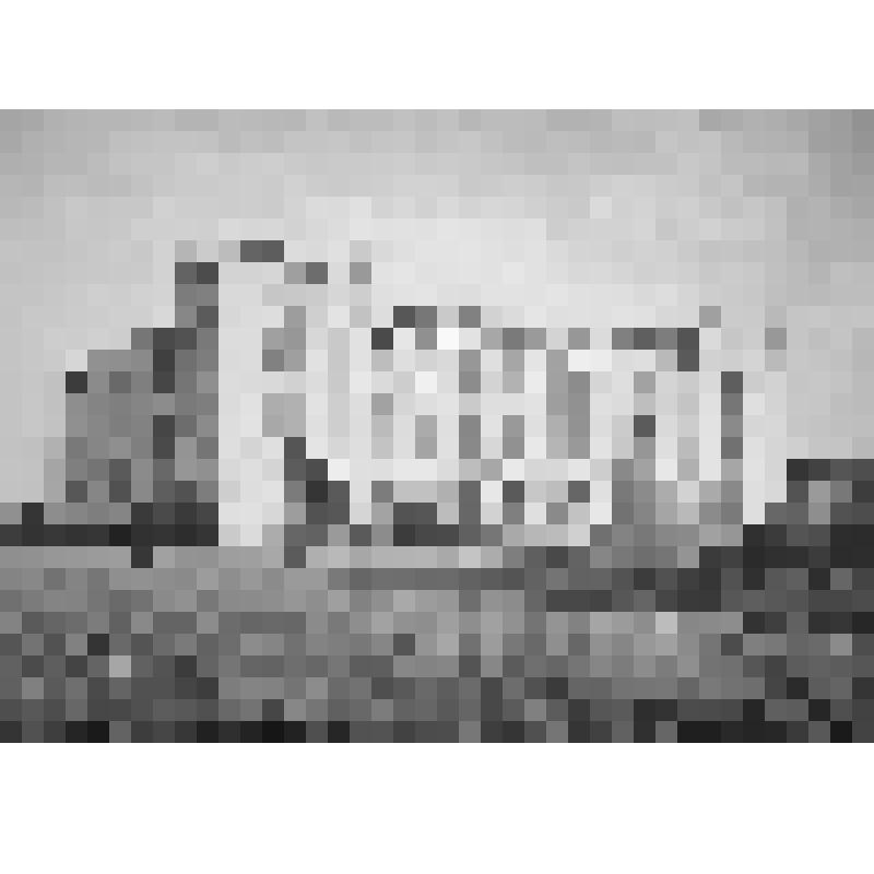 Москва. Городской родильный дом им. А.Н. Абрикосовой на Миусской пл. 1903-1906. из альбома зданий Московского Городского Управления. Т.1. Иванов-Шиц Илларион Александрович