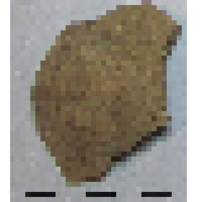 Фрагмент нижней части плеча с частью тулова амфоры типа D с дипинто