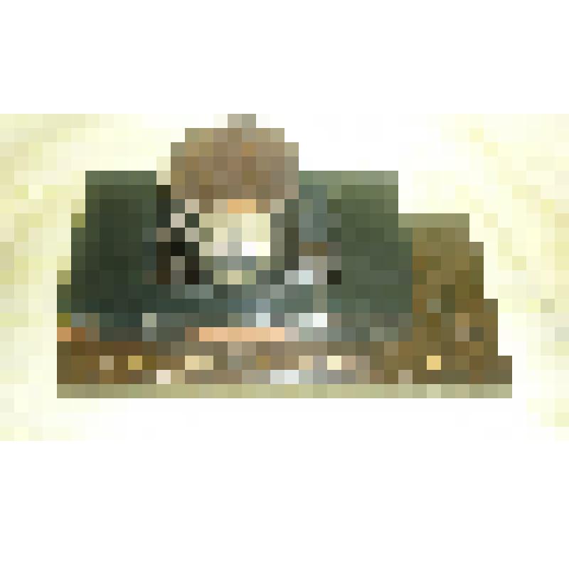 Модель мартеновского разливочного ковша