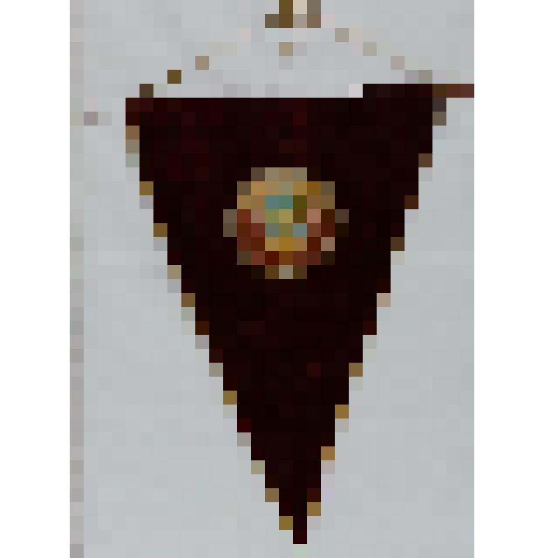 Вымпел "Победитель всесоюзного социалистического соревнования 1979"