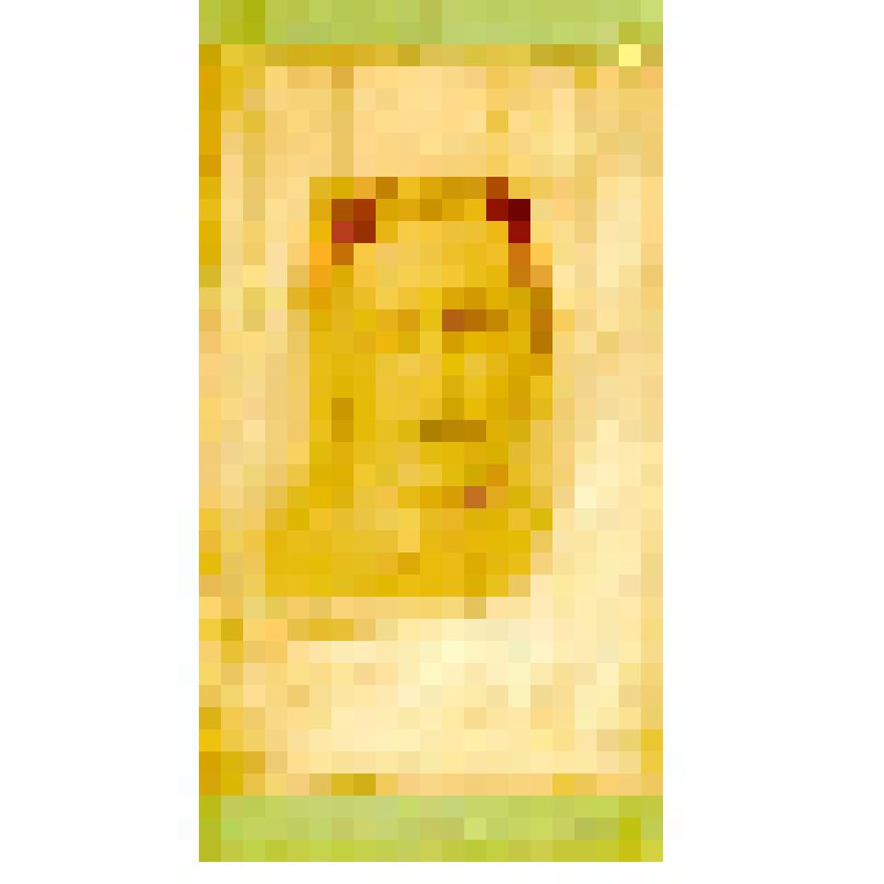 Фотография. Гоффман Вера Карловна, первая жена ? В.Ю.Виллуана