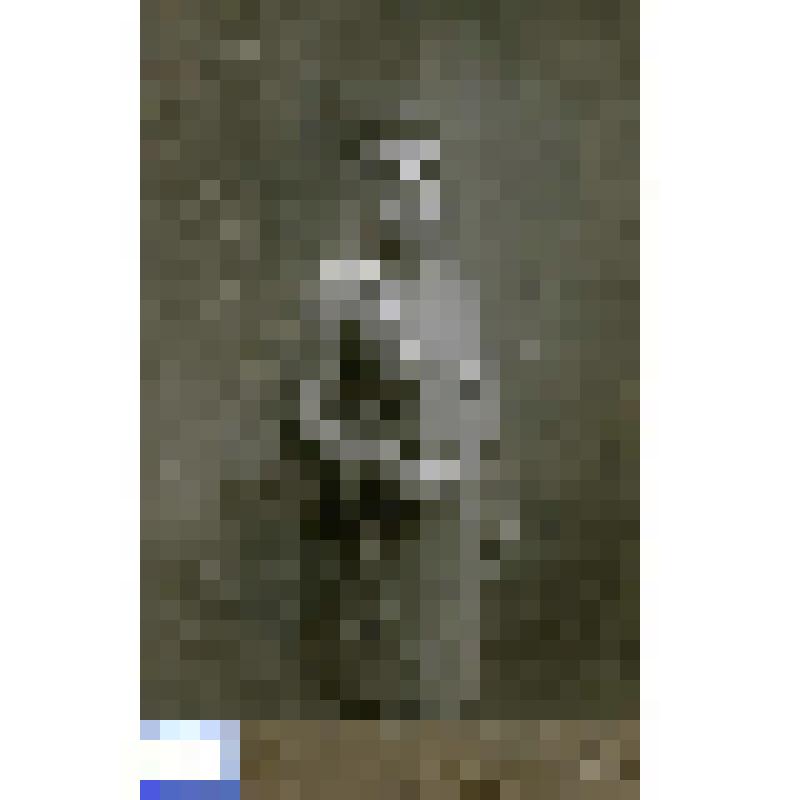 Фотография черно-белая. Всеволожский, подполковник