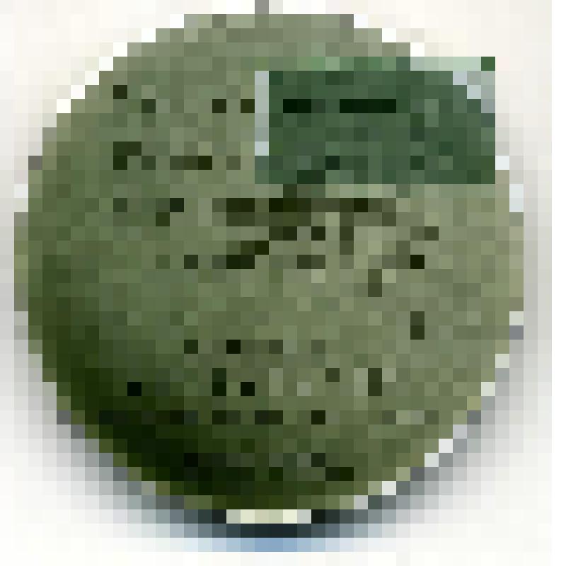 Медаль "Ленинград. Памятник  А.С.Пушкину". СССР