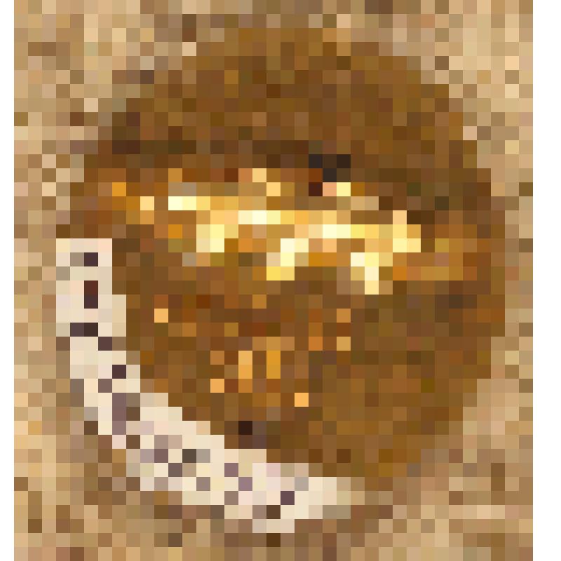 Значок нагрудный памятный «Х Всесоюзный съезд акушеров-гинекологов Полущева Федора Николаевича, делегата от Саратовской области, из коллекции материалов о Полущеве Федоре Николаевиче, враче-гинекологе, преподавателе СМИ, организаторе роддомов в Сталинском