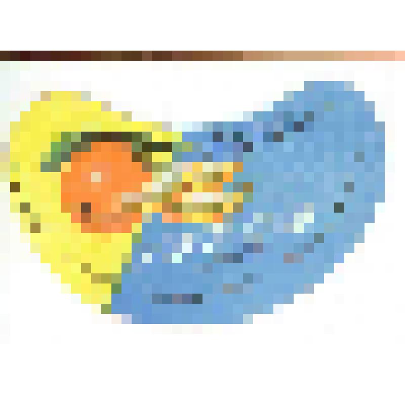 Кольеретка-этикетка горловая к напитку «Апельсин» производства Сальского горпищекомбината, из коллекции кольереток – этикеток горловых к безалкогольным напиткам