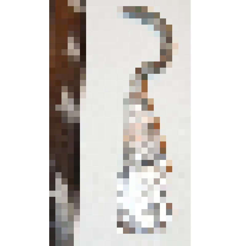 Сюльгама лопастная