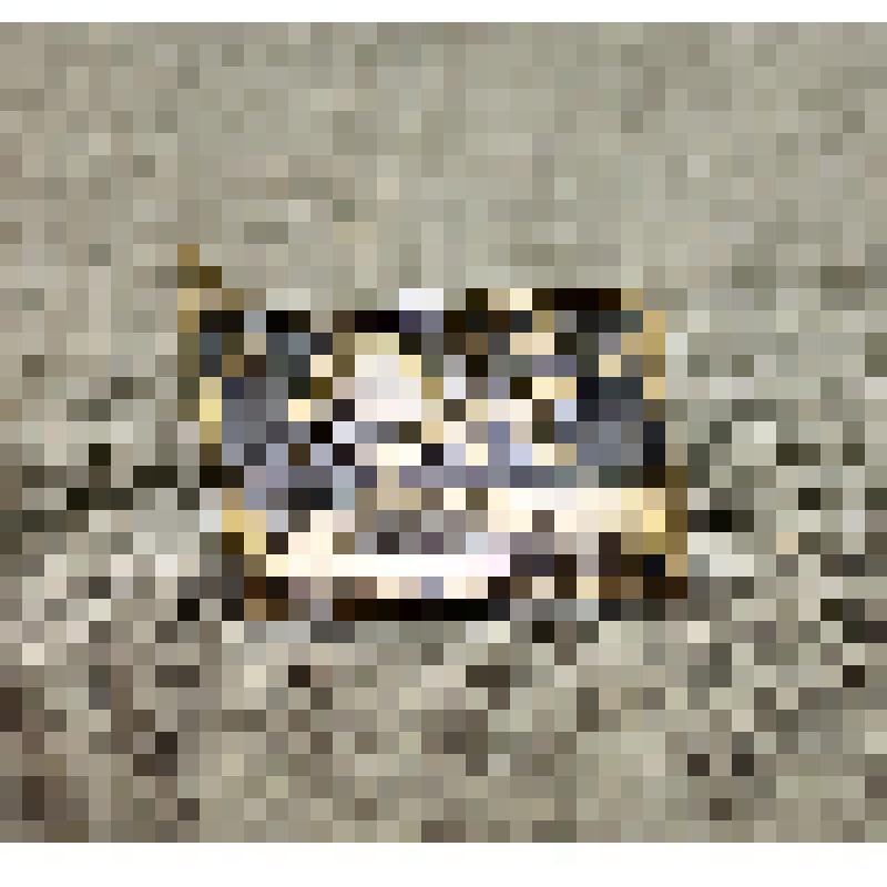 Значок "отчизны верные сыны"