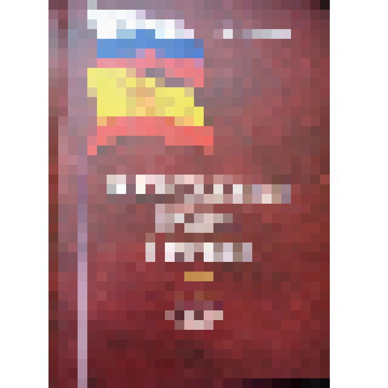 Книга "Конституционный процесс в Чувашии". Практика, проблемы, теория