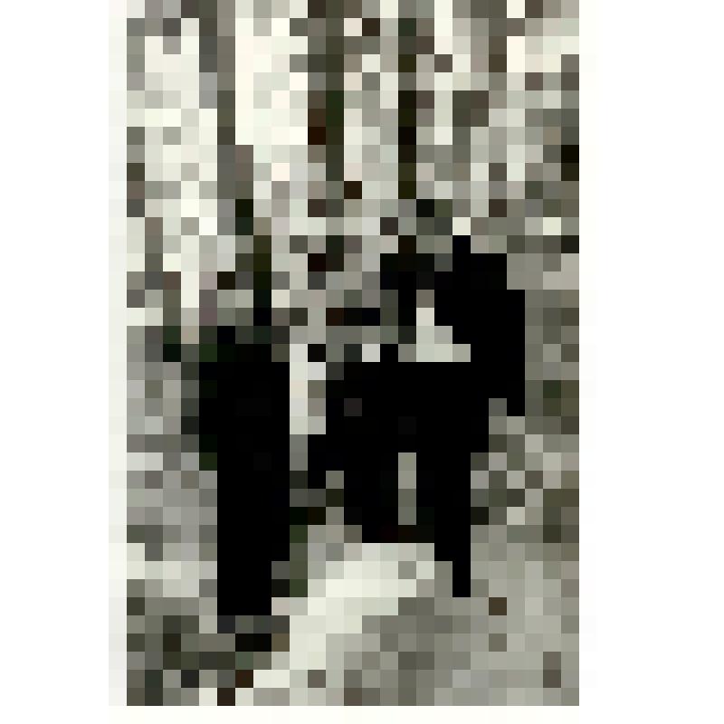 Фотография. Пономарев Ф.Н., Свиридов Н.В., Зимовнов А.А., Иванов А.С. у родника Отрог