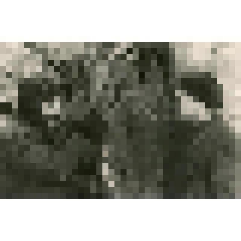 Фотография. Изменение подвески днища