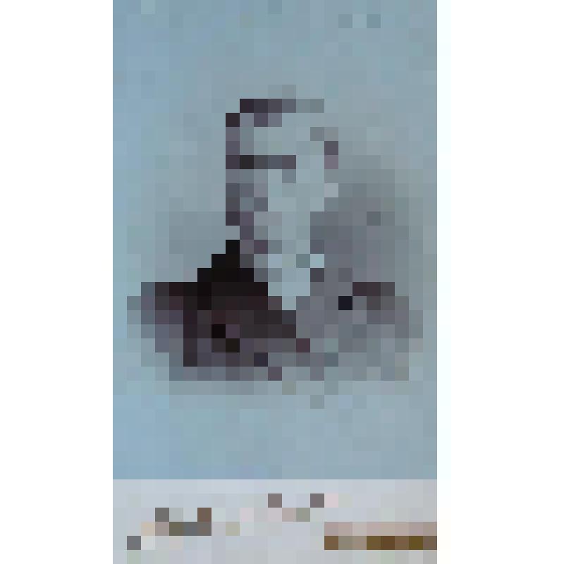 Фотография. Портрет молодого мужчины