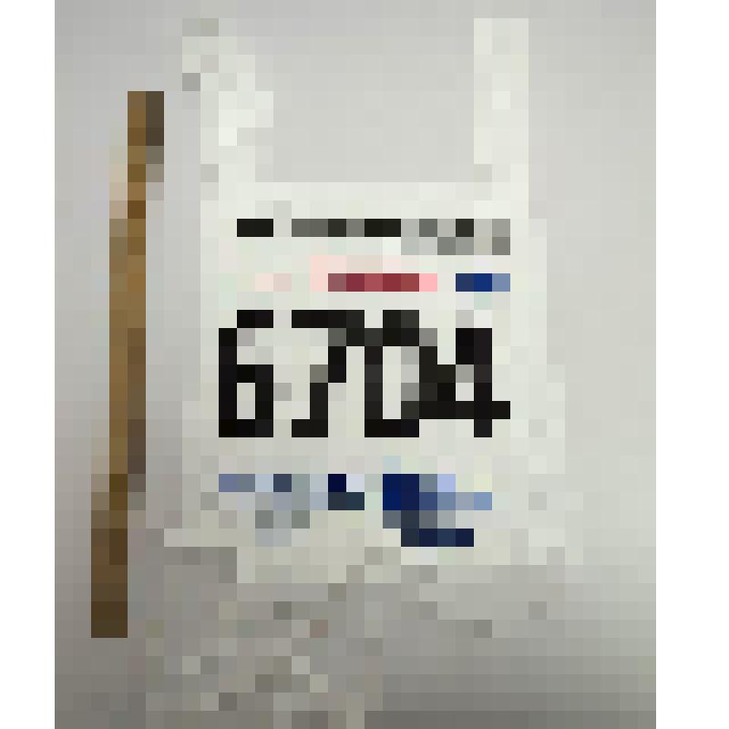 Номер стартовый 6704 FINLANDIA HIIHTO Лобынцева Николая Яковлевича