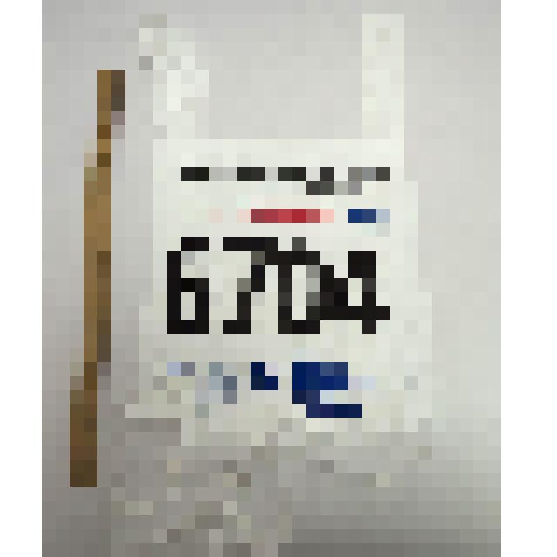 Номер стартовый 6704 FINLANDIA HIIHTO Лобынцева Николая Яковлевича