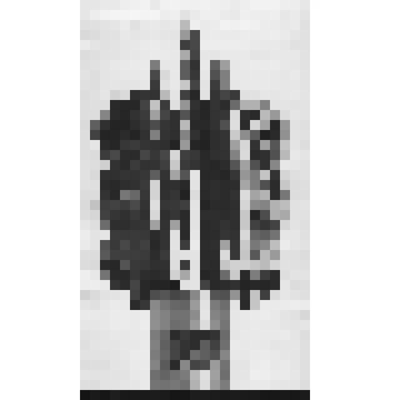 Фото. Монумент "Навеки с Россией", посвященный 500-летию добровольного вхождения мордовского народа в состав Российского государства