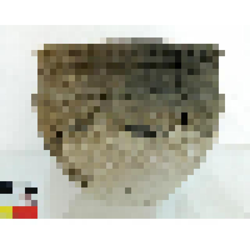 Горшок