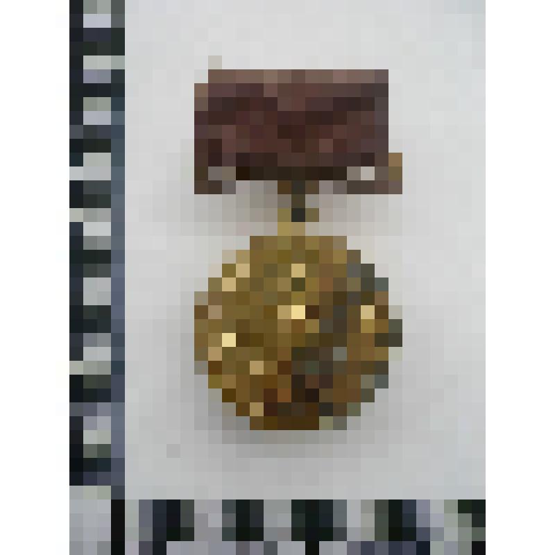 Медаль Бронзовая ВДНХ СССР Годунова Василия Федоровича