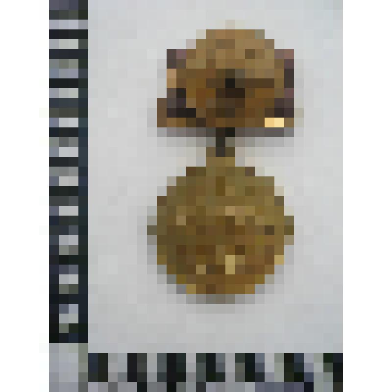 Медаль Бронзовая ВДНХ СССР Годунова Василия Федоровича