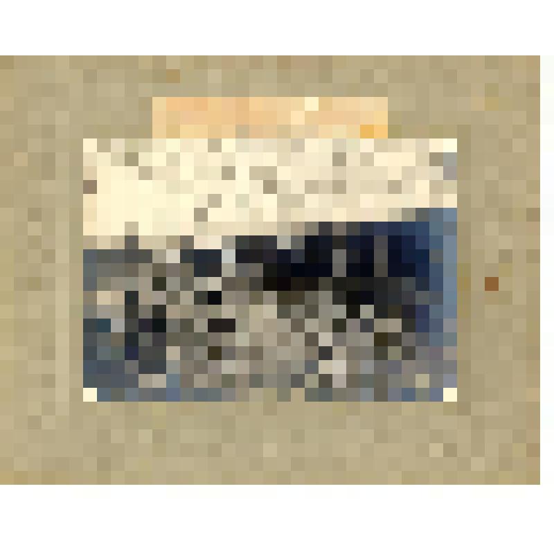 Фотография. Конюшни при доме  № 10 по Готмановской ул. после пожара 23 октября  1927г