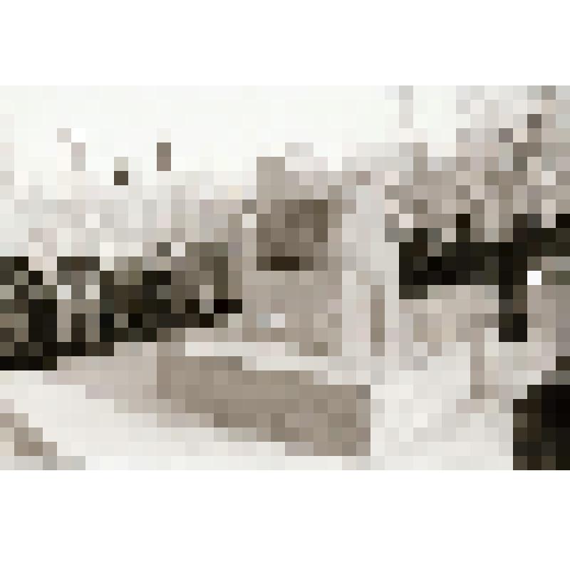 Фотонегатив  сюжетный. Открытие памятного монумента отряду "Комсомолец Приамурья"