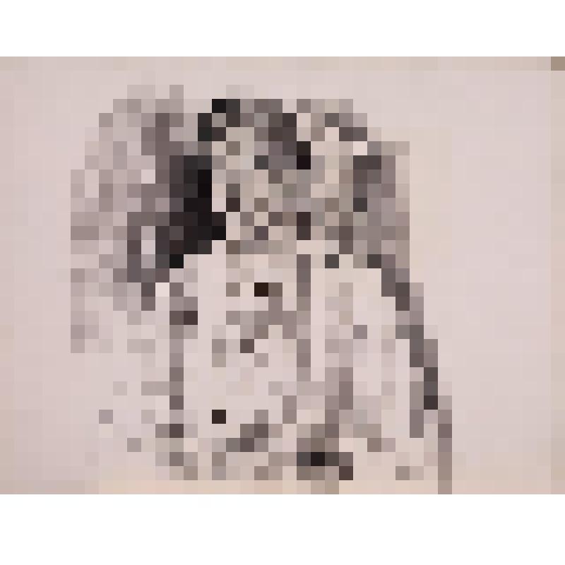 Портрет пожилой женщины. Рисунок