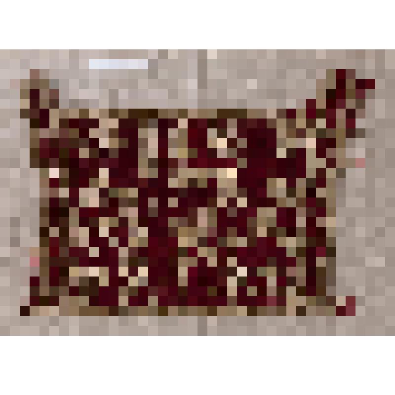 Оплечье (фрагмент)