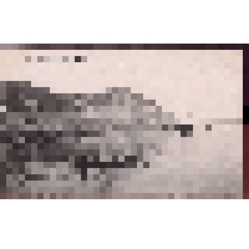 Волга у села Ширяева