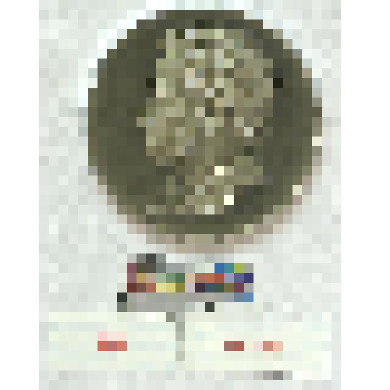 СССР. Сувенирная медаль. А.С. Пушкин - Тригорское, могила Великого поэта