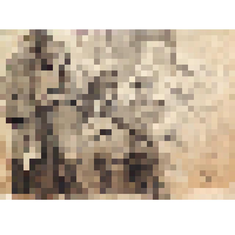 На отдыхе. Перекур