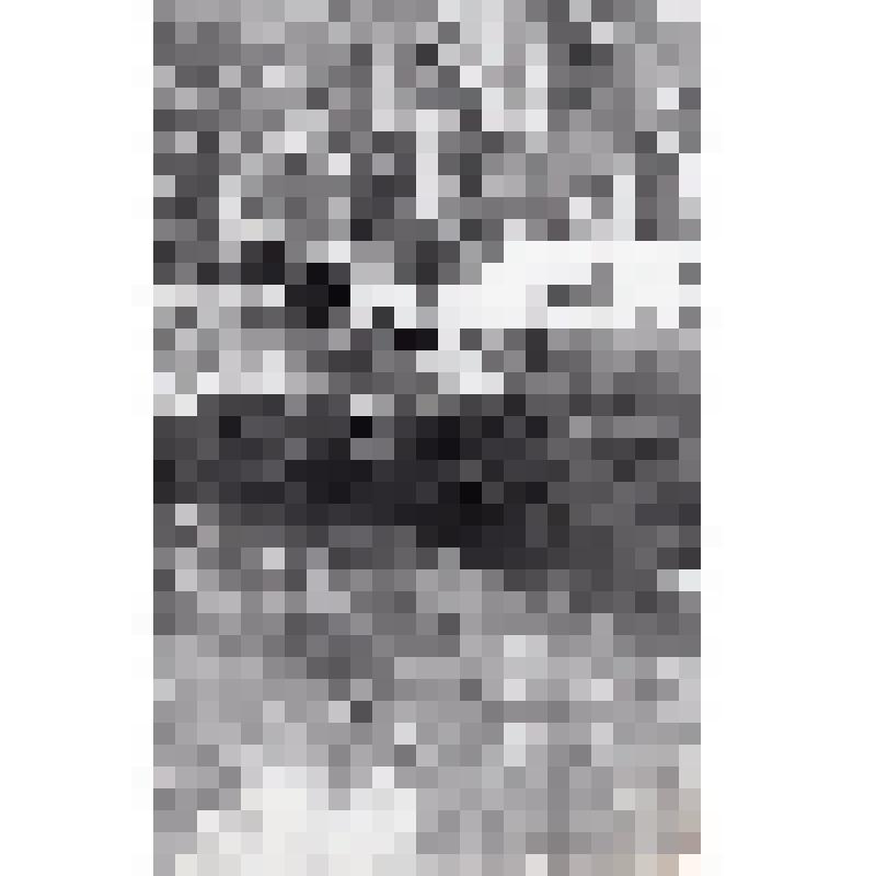 Фотография чёрно-белая, сюжетная. Палаточный городок туристов