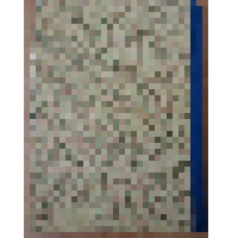 Геологический очерк месторождений медных руд на Урале. Ч.2