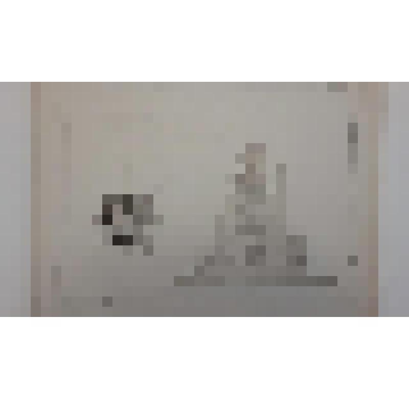 Храм Воскресения Христова ("Спас на Крови"), наб. канала Грибоедова.(Екатериниский), 26. 1883-1907 гг. г. Санкт-Петербург (Ленинград). Храм Воскресения Христова ("Спас на Крови"). Горностаев Алексей Максимович. Второй конкурс проекта храма. Проект Горност