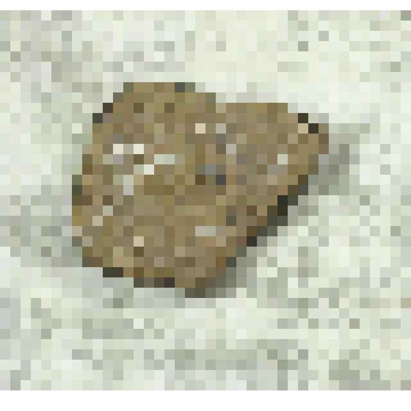 Фрагмент керамики