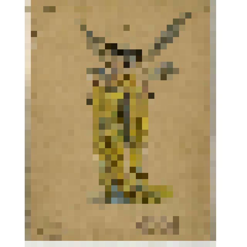Эскиз женского костюма. Бабочка. "Даита". Конюс Г.; 1896, балетм. Мендес И., худ. Вальц К.Ф