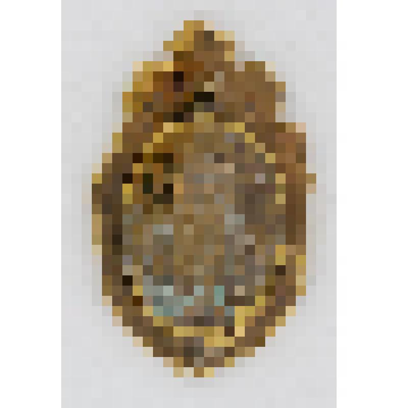 Средник, из комплекта накладок от евангелия