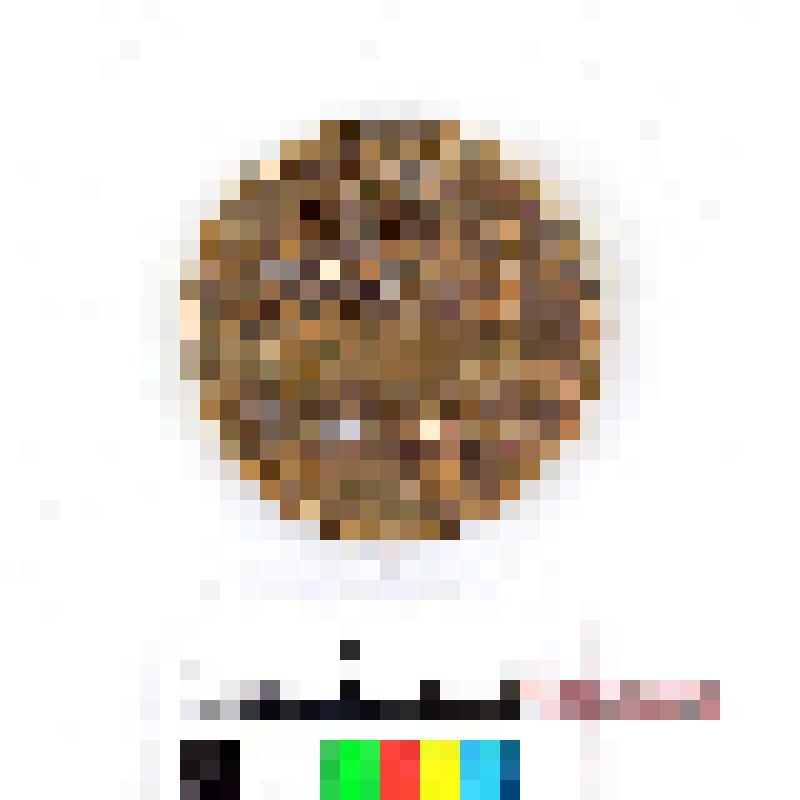 Печатка угольная (жетон) Верх-Исетского завода. Урал