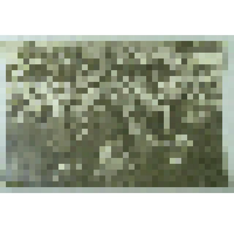 Фотография. Похороны Королькова, председателя райисполкома г. Мамадыш