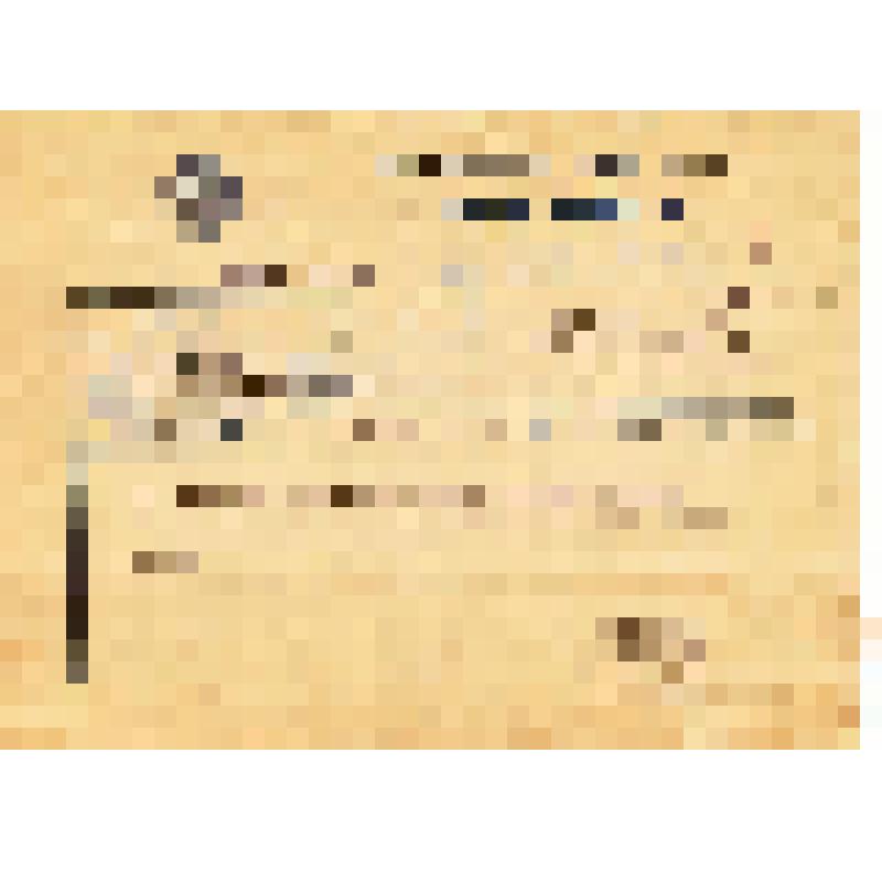 Телеграмма. Шишкова. Адресат: Кассиль Лев Абрамович, г. Москва - г. Москва. Машинопись