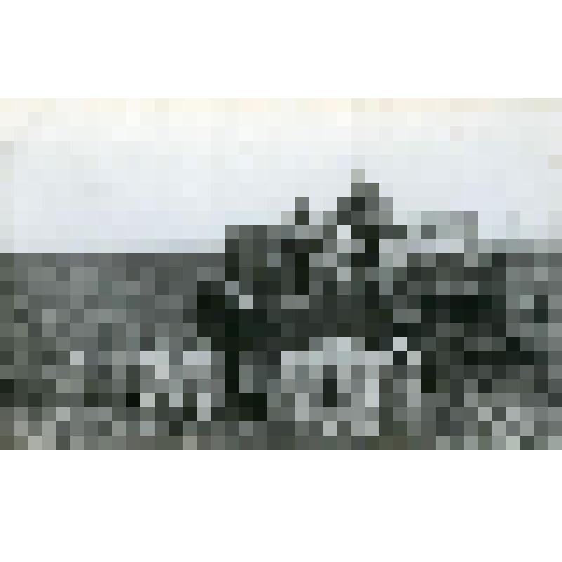 Фотография. Вывоз картофеля с поля