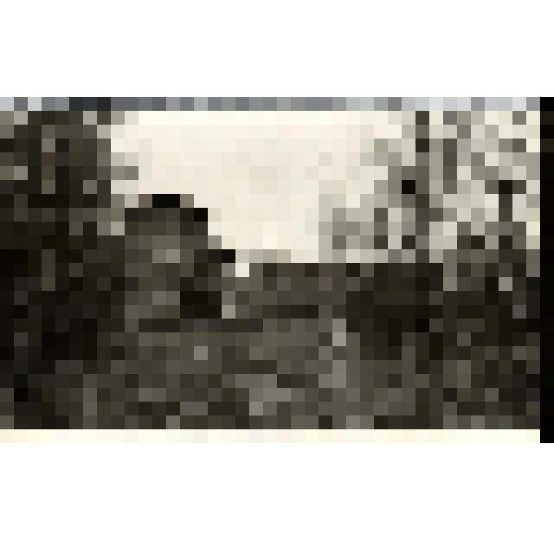 Фотодокумент. Фотография. Парк "Свирская Победа". 50-е годы ХХ века