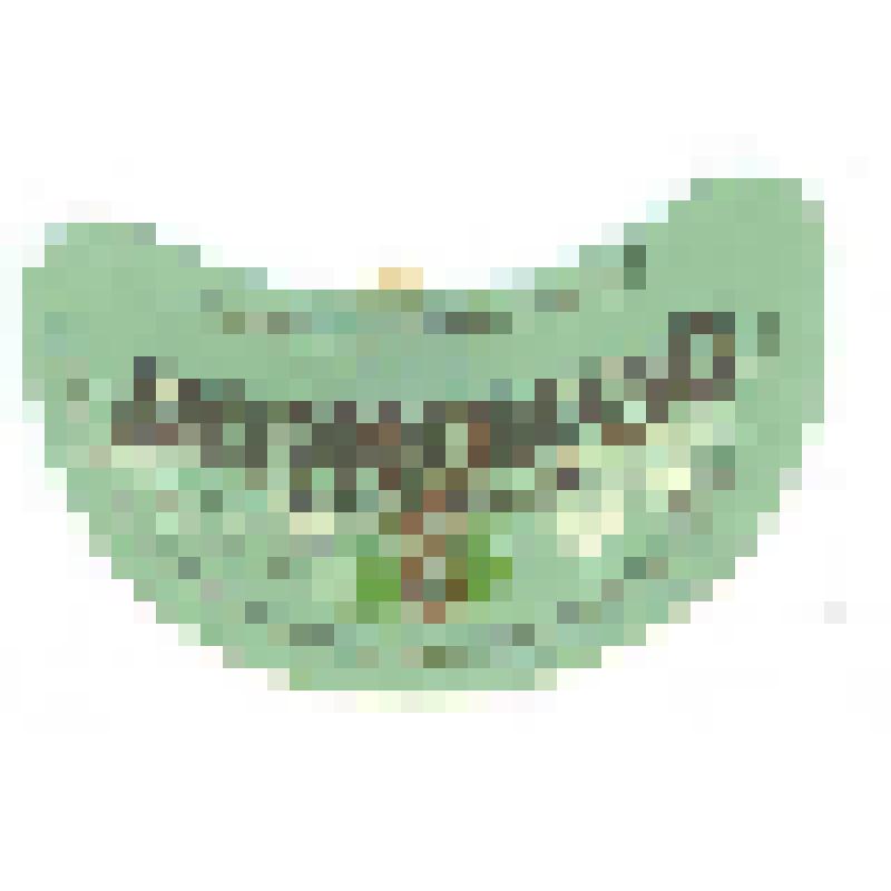 Кольеретка «Рижское пиво» к напитку производства Советабадского винно-пивоваренного объединения Таджикской ССР, из коллекции кольереток - этикеток горловых к бутылкам для пива