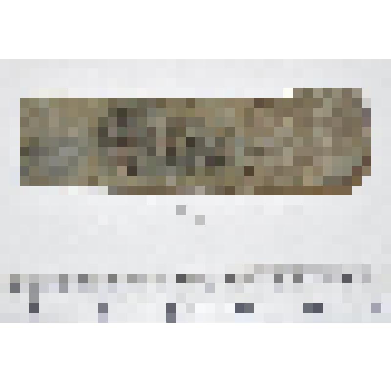 Пластина с рельефным орнаментом, из коллекции археологических находок из раскопок и сборов с Хмелевского I селища в 2000-2001 гг