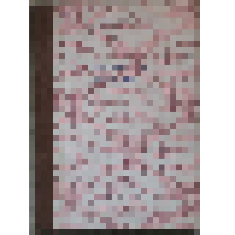 Газета. Ленинский путь. №183-250 (сентябрь - декабрь 1990 г.)