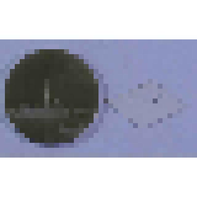 МЕДАЛЬ СУВЕНИРНАЯ. ЛЕНИНГРАД. ПЕТРОПАВЛОВСКАЯ КРЕПОСТЬ. ЗАЛОЖЕНА 27 МАЯ 1703 г