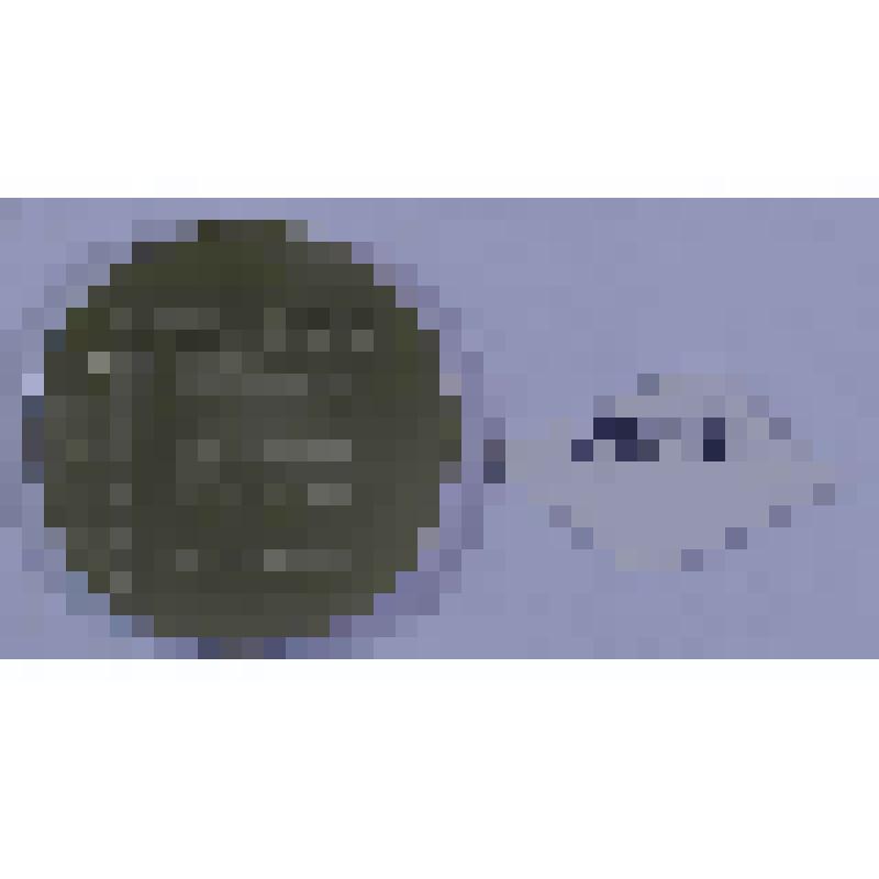 МЕДАЛЬ СУВЕНИРНАЯ. ЛЕНИНГРАД. ПЕТРОПАВЛОВСКАЯ КРЕПОСТЬ. ЗАЛОЖЕНА 27 МАЯ 1703 г