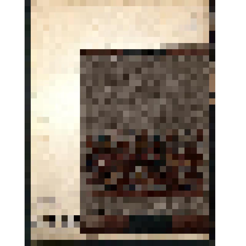 Образец вышивки. Из альбома «Новые виды экспорта вышитых изделий (Поволжье)»