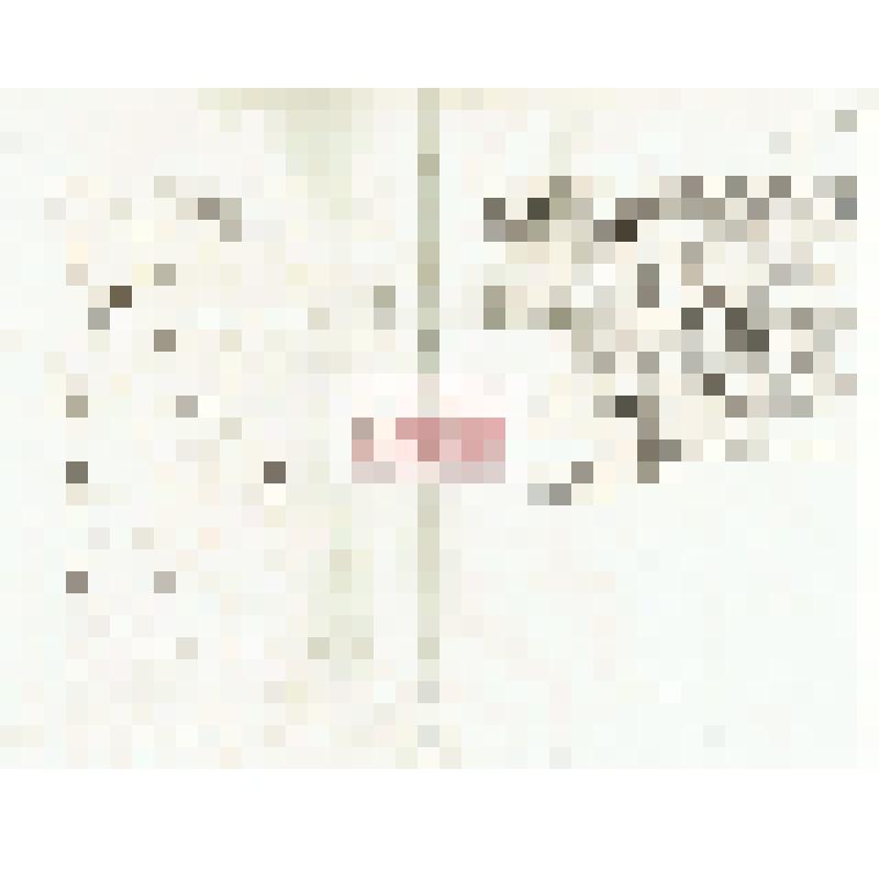 Письмо И. А. Лопатина Мартьянову с благодарностью за полученные золотые предметы и фотографии предметов медного века, просьбой и далее приобретать для него предметы, сообщить, сколько он должен