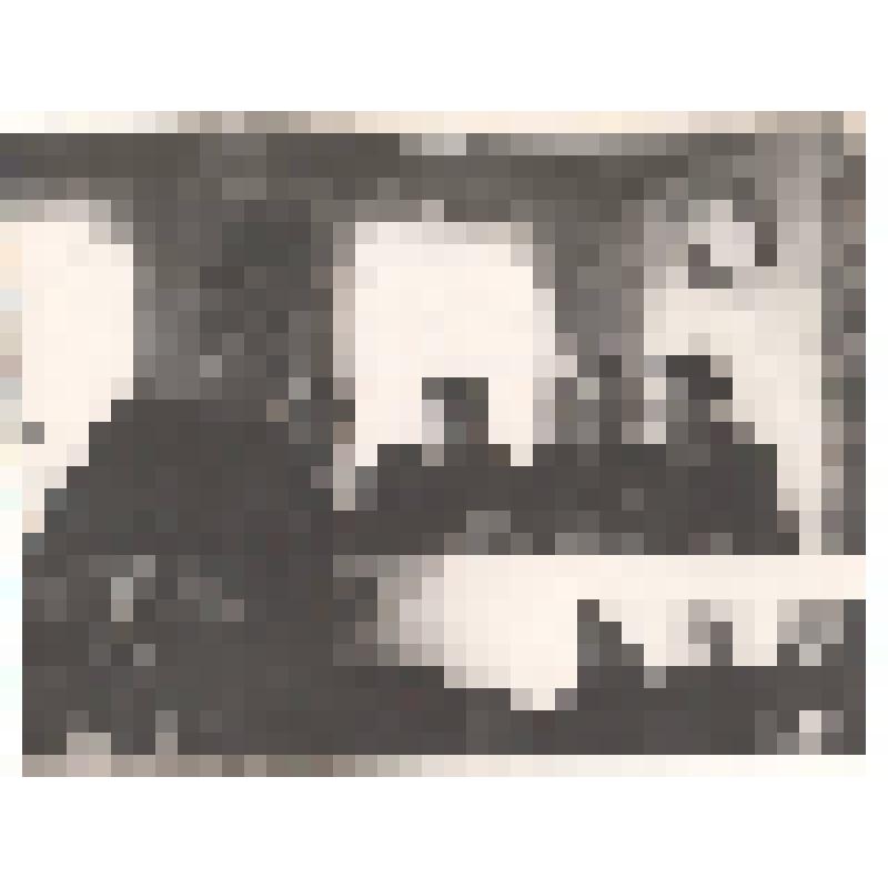 Фото Литаев, Иванов, Аляутдинов, Гребешков, Н. Бабурин