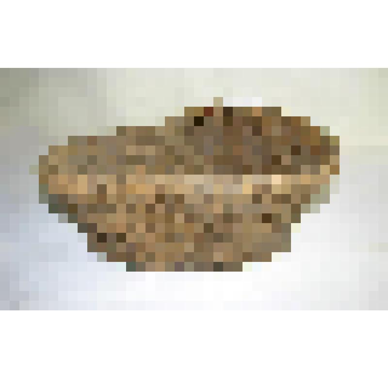 Солонка корешковая овальная