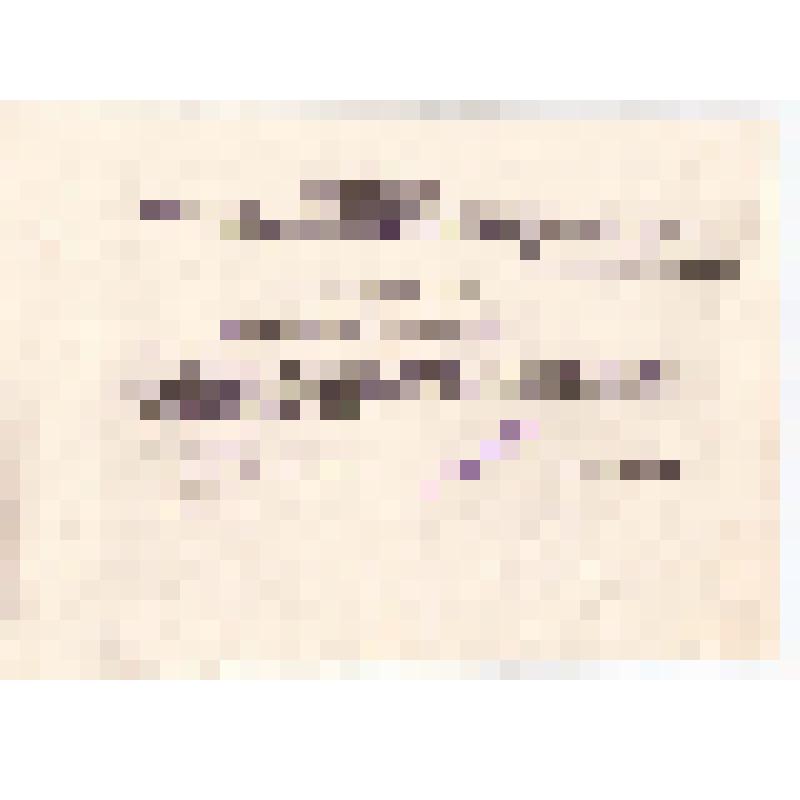 Выписка из протокола №10/2 заседания бюро Чекмагушевского РК КПСС об утверждении Юсупова З.Т. председателем колхоза имени Чапаева