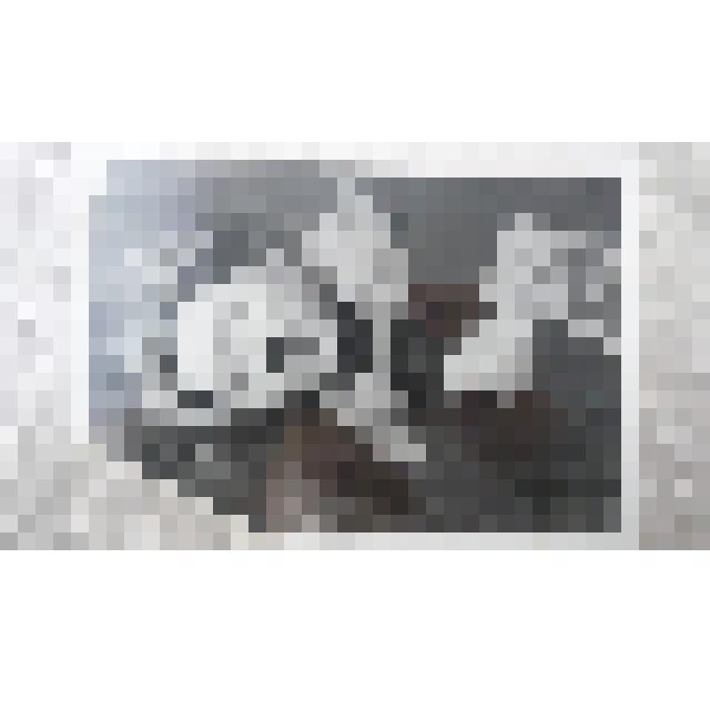 Фотография Зиссермана М.Л